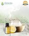 Lemon Essential Oil - 100% Pure Therapeutic Grade 15ml (Comparable to DoTerra & Young Living) For Energy Mood Skin Care and Household Use