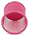 EasyPAG 2 Pcs 3.5 inch Mesh Round Steel Pen Holder, Hot Pink