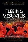 Image de Fleeing Vesuvius: Overcoming the Risks of Economic and Environmental Collapse