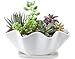 Mkono 6-Inch White Ceramic Succulent Plant Pot with Saucer Modern Cactus Planter Decorative Planting Bowl with Drainage Hole