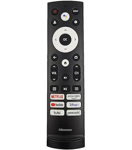 Amazon.com: NTQinParts Replacement Voice TV Remote Control