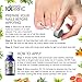 Natural Toenail Fungus Treatment - All Natural Anti fungal Nail & Toe Nail Renewal with Tea Tree, Oregano & Essential Oils, Restore Damaged Yellow Thick Discolored Nails Back to Health by Toerrific