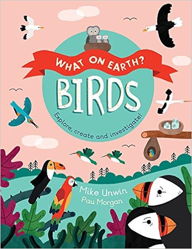 Birds: Explore, create, and investigate! (What On Earth?) by Mike Unwin