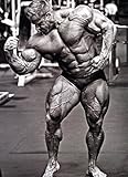 Jay Cutler Muscle male poster 32 inch x 24 inch / 17 inch x 13 inch