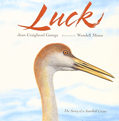 Luck with CD: The Story of a Sandhill Crane