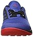 Reebok Men's Crossfit Nano 6.0 Cross-Trainer Shoe, Team Dark Royal/Black/White/Riot Red/Pewter, 9 M US