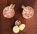 Naava Moscow Mule Mugs - Authentic Russian Moscow Mule Gift Set of 2 Beautiful Artisan Hammered Copper Mugs PLUS Liquor Jigger - Unlined, Unlacquered and Genuine - 100% Solid Copper Guaranteed!