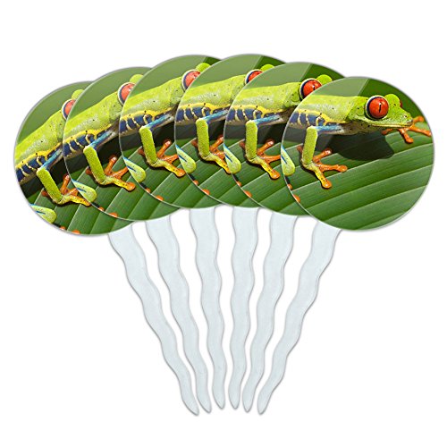 Set of 6 Cupcake Picks Toppers Decoration Reptiles Lizards Snakes Frogs - Red Eyed Tree Frog