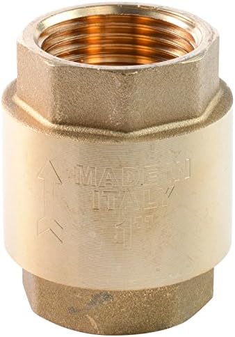 amicoidraulico 480050 Check Valve, Brass Yellow, Thread Diameter 2 "