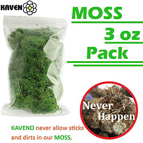 Moss Preserved, Green Moss for Fairy Gardens, Terrariums, Any Craft or