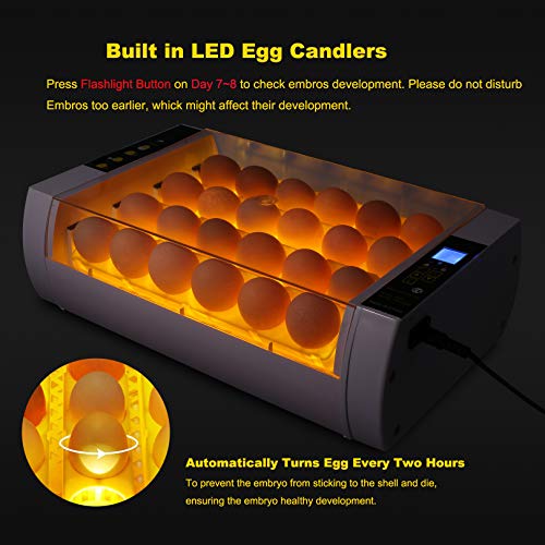 Egg Incubator for Hatching Chicks, 24 Eggs Automatic Egg Incubator