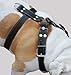 Black Genuine Leather Dog Harness, Large to XLarge. 33