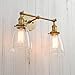 PERMO Double Sconce Vintage Industrial Antique 2-Lights Wall Sconces with Oval Cone Clear Glass Shade (Antique)