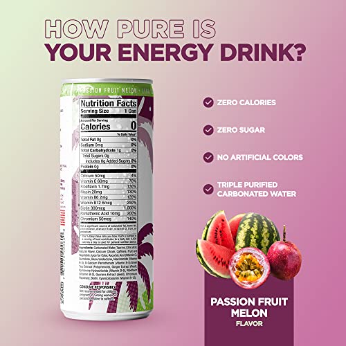 Fit Tea Healthy Energy Drink 12 Fl Oz Passionfruit Melon Sparkling