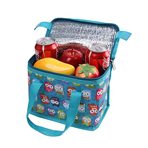 teamook lunch bag