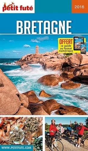 Download Petit Futé Bretagne PDF
