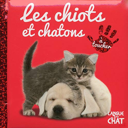 Amazon Com Bebe Touche A Tout Les Chiots Et Chatons Tome 5 5 French Edition Collectif Books