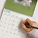 unp 2020 Pug Puppies Wall Calendar by Bright Day, 16 Month 12 x 12 Inch, Cute Dogs Puppy Animals Adorable Canine