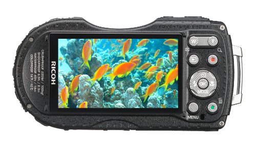 Ricoh-WG-4-GPS-blue-16Digital-Camera-with-4x-Optical-Image-Stabilized-Zoom-with-3-Inch-LCD-Blue