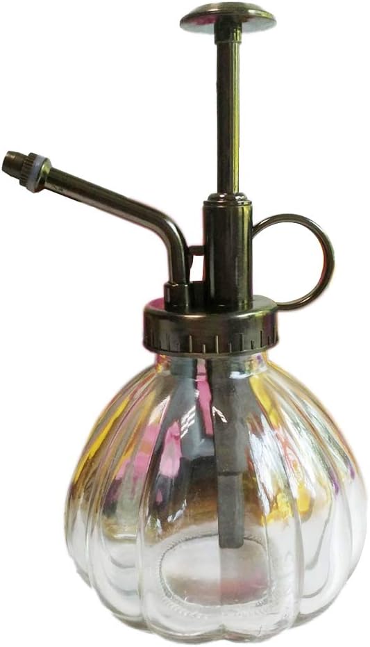 Calunce Mini Clear Glass Decorative Retro Water Spray Bottle/Plant Mister 200ml (Transparency)