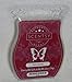 Scentsy Satin Sheets Bar Wickless Candle Tart Warmer Wax 3.2 Fl Oz, 8 Squares