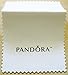 Pandora Silver Jewelry & Charms Polishing Cloth
