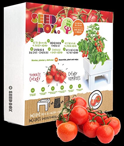 Huerto urbano ecológico tomate cherry (Kit regalo de iniciación al ...