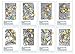 Chameleon Art Products, Color Cards, 8 Designs - Zen