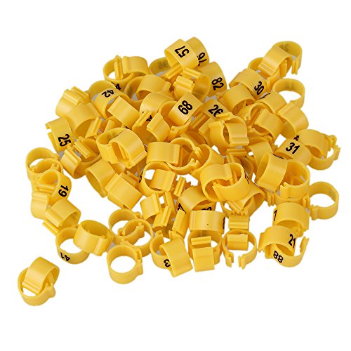 JZK 24 anelli in plastica multicolore da 16 mm, con clip per cosce di pollo, etichette per cosce di gallina, braccialetti con zampe di pollo, accessori per galline, pollame
