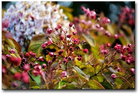 Amazon Co Jp アートパネル 近代的なクレーが伸び絵画 壁掛け 絵画 秋の花と果実絵画用キャンバスプリントウォールアート画像と額縁 アートワークオイルザ 花の写真写真プリント ホーム キッチン