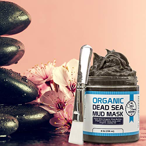 Spa's Premium Dead Sea Mud Mask and Free Face Brush (Huge 8oz Jar), All Natural, Purifying Face Mask for Acne Treatment and Skin Care, Pore Minimizer Mask for Blackheads, Facial Cleanser for Oily Skin