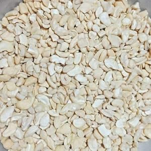Nature Purify Cashews Nuts Broken 4 Pieces – Kaju Tukadi 1000gm