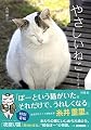 やさしいねこ
