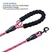 Ladoogo Heavy Duty Dog Leash - Comfortable Foam Handle, 5 ft Long - Dog Leashes for Medium Large Dogs with A Free Collapsible Pet Bowl (Pink)
