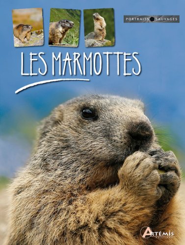 Les  marmottes
