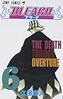 BLEACH -ブリーチ- 第6巻