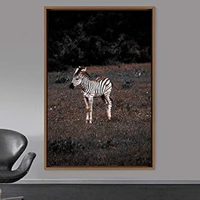 signwin Framed Canvas Wall Art Zebra Animals Dramatic...