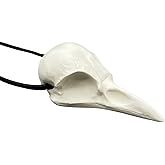 Ginger Snaps Movie Bird Skull Necklace Crow Pendant