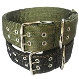 Pesp&reg; Dog Metal Buckle Double 2-rows Belt Strap Adjustable Collar Large L (Black)