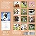 2020 French Bulldog Puppies Wall Calendar by Bright Day, 16 Month 12 x 12 Inch, Cute Dogs Animals Frenchies Canine