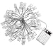 20Ft Battery Operated Indoor and Outdoor String Lights| with 40 LED Warm White Photo Clips| to Hang hold Photos, Artwork & Christmas Cards