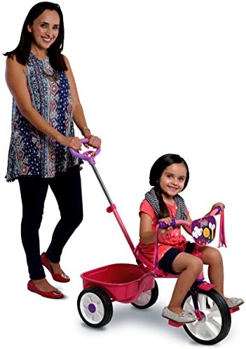 Trixie Zoo Trike with Pushing Bar