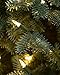 Balsam Hill BH Balsam Fir Premium Artificial Christmas Tree, 7.5 Feet, Unlit