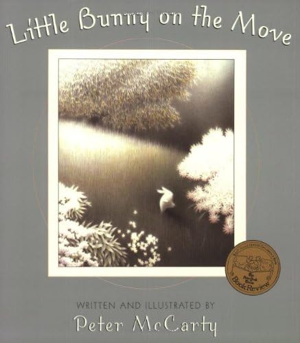 Little Bunny on the Move (An Owlet Book)