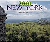 New York (Millennium 2001) by