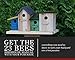 23 Bees 4 Hole Bird House for Outside/Indoors/Hanging | Kits for Children & Adults | Decorative Birdhouse &Home Decoration | Outdoors Feeder for Birds, Bluebirds, Wrens & Chickadees | All Weather