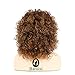 Baruisi Short Curly Brown Afro Wigs for Women Synthetic Heat Resistant Cosplay Hair Wig with Wig Cap