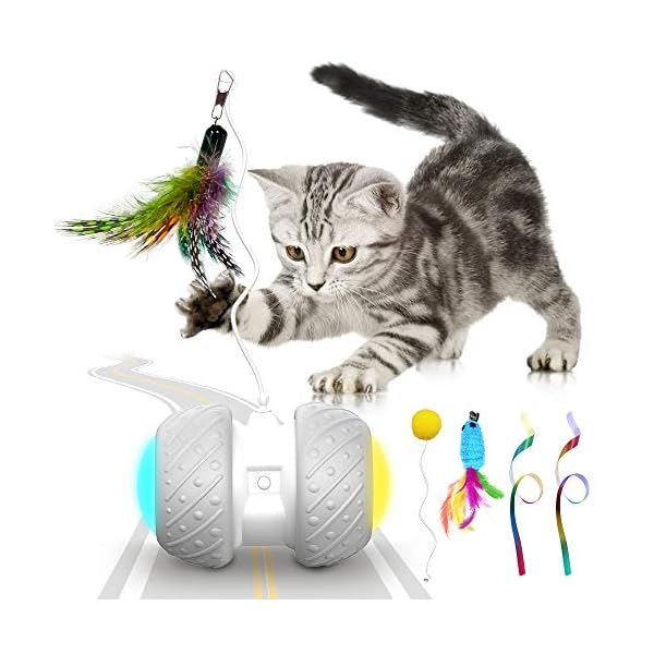 self moving cat ball