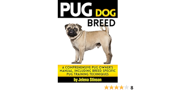 pug dog in amazon