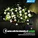 Warm White Solar Flower Shape String Lights-ANNT 23ft 7m 50 LED Crystal Lighting Waterproof Lamp Fairy Blossom Flower Garden Holiday Decorative Light Outdoor Indoor Patio Wedding Xmas Tree Party